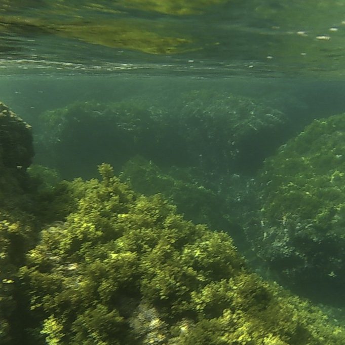 Paddle Surf La Rijana Kayak