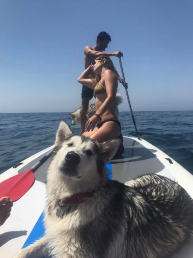 Alquiler Paddle Surf