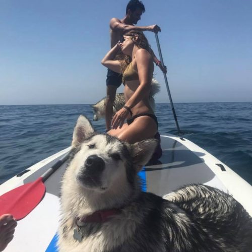 Alquiler Paddle Surf